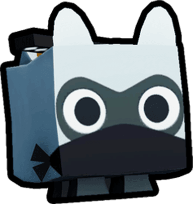 Ninja Raccoon