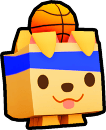 Basketball Retriever