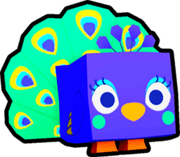 Peacock