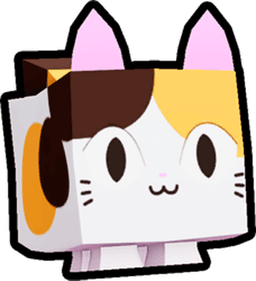 Calico Cat